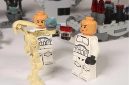 Cantina Celebration
