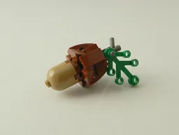 Acorn
