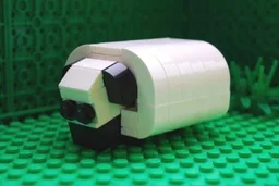 Sheep