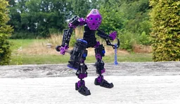 Toa of Gravity