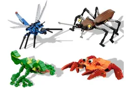 Wild Collection