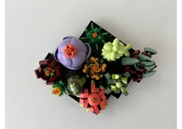 Succulent Remix