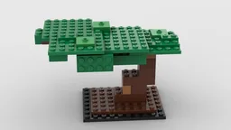 21241 bonsai