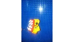 R.E.P.O. Duck