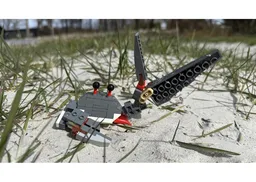 Crab 31381