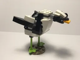 30641 Duck