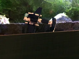 31090 the fish