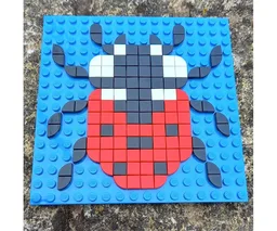 🐞