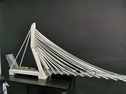 Erasmusbrug-Giant Cable-stayed bridge and Bascule bridge