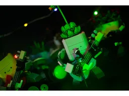 Rocking and Rolling Plants