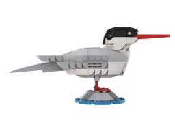 (Arctic) Tern