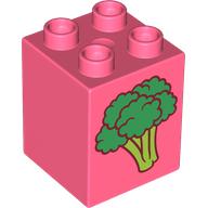 Lego Duplo Brick 2 x 2 x 2, Broccoli, Cut Pear on Back Print / Coral