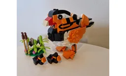 Mandarin duck
