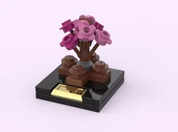 Bonsai Cherry