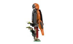 Parrot