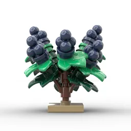 Berries