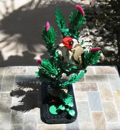 Thistle (Goldfinch display)