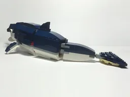 strap-toothed whale