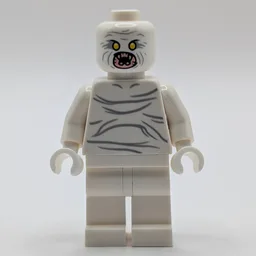 The Flukeman