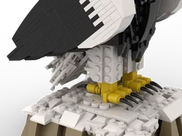 Steller's Sea Eagle