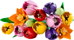 Tulip Bouquet