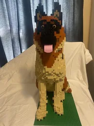 German Shepherd Dog