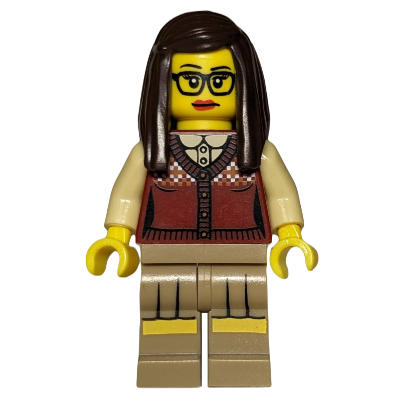 Lego Librarian