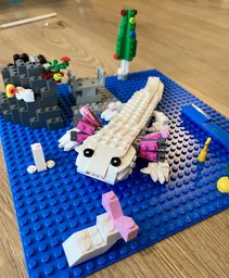 31129 axolotl