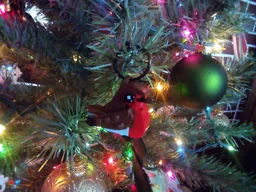 Robin Christmas ornament