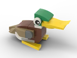 Mallard duck