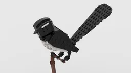 Willie Wagtail