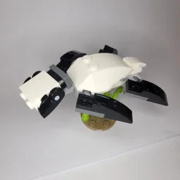Skylar Sea Turtle