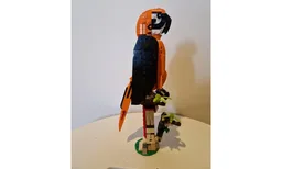Parrot