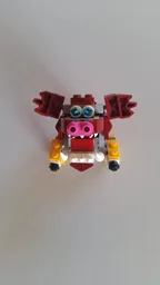 boar pig!