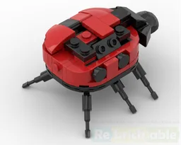 Ladybug