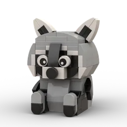 Raccoon