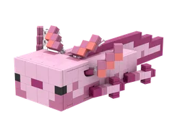 Axolotl
