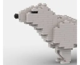 Polar Bear Cub