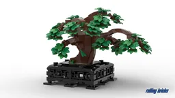 Bonsai