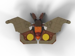 Eye Silkmoth (Automeris hamata)