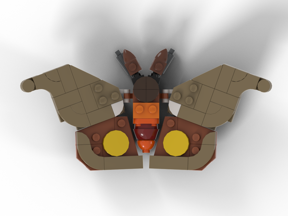 Lego Eye Silkmoth (Automeris hamata)
