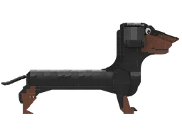 Dachshund
