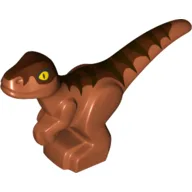 Animal, Dinosaur, Raptor, Baby with Dark Brown, Reddish Brown Stripes / Dark Orange