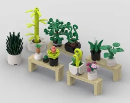 plants_and_flowers_1
