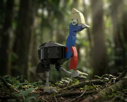 Cassowary (Casuarius casuarius)