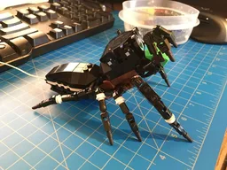 Cute Jumping Spider