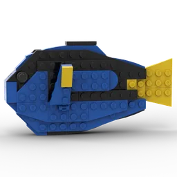 Royal Blue Tang