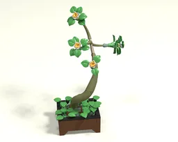 Blooming plant in a bonsai pot