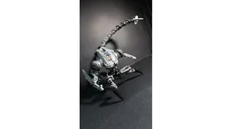 NERVELASH - Biotarget Acquisition Frame