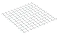Net 10 x 10 Square